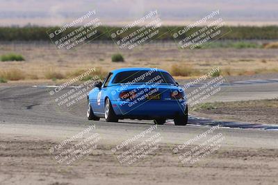 media/Oct-04-2025-OnGrid (Sat) [[44bd565ffa]]/Purple Group/Grapevine/